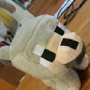 Meet your Posher, Stacey